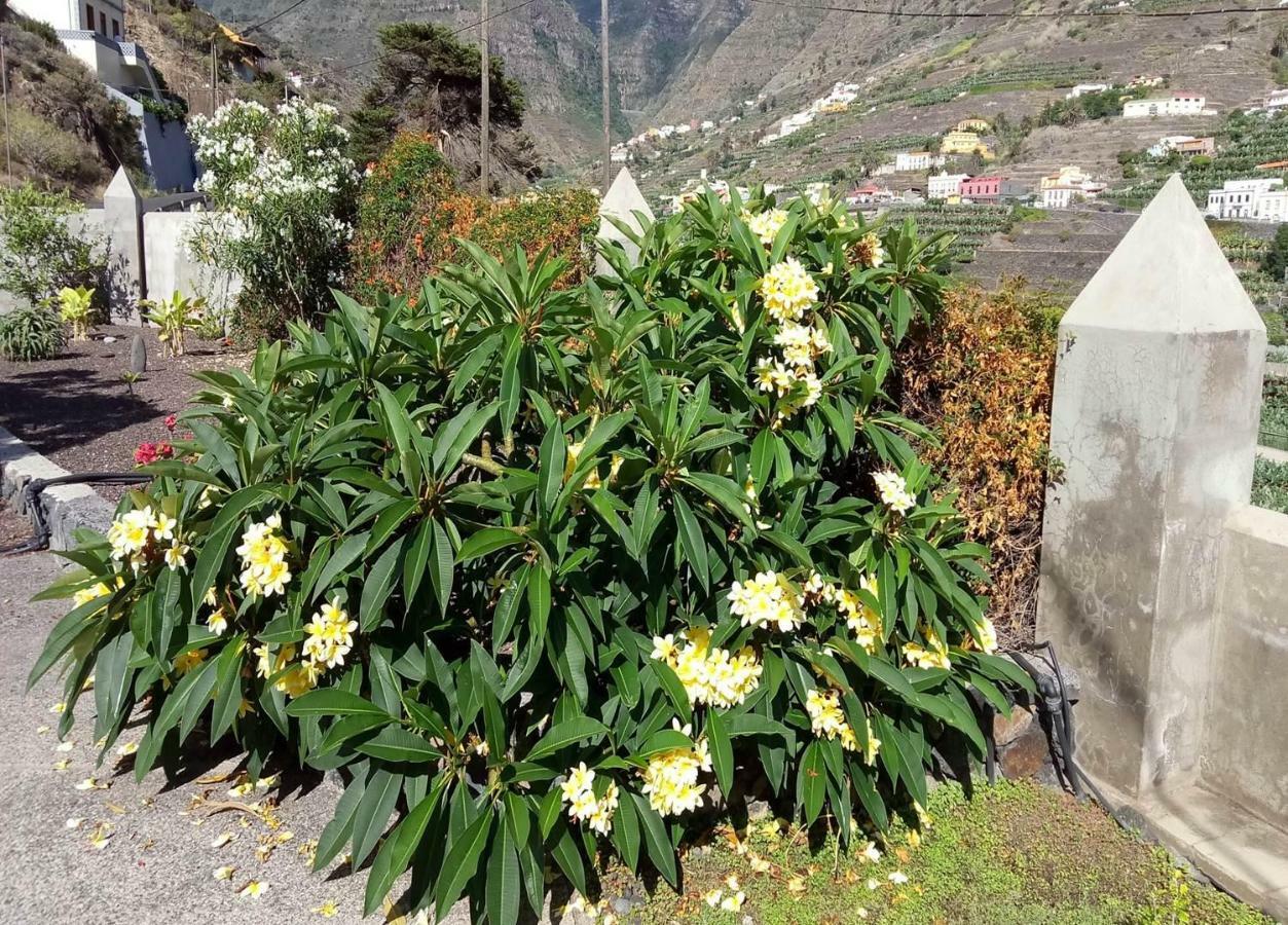 Gomera Garden. Vista Mar Altozano Hermigua Dış mekan fotoğraf